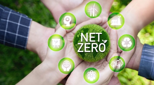 Why Offset with Bainsun?