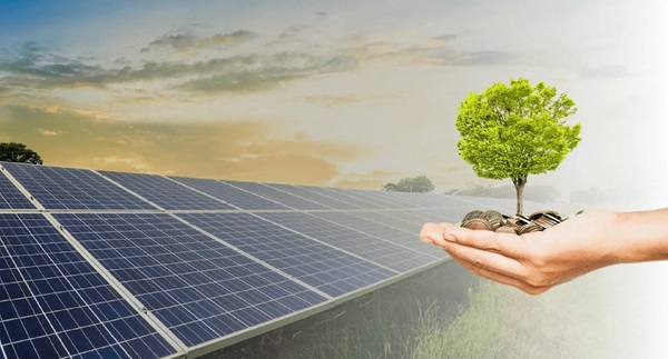 Pricing & Government Subsidy