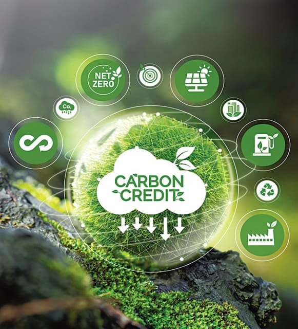 Bainsun Energy: Powering a Greener Tomorrow with Verified Green Credits