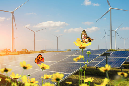 Environmental Mitigation & Compliance