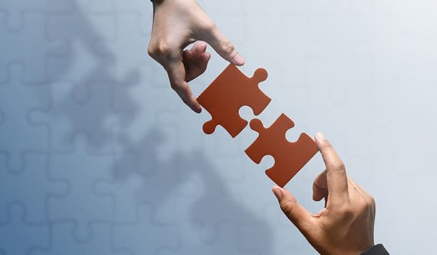 Business Partnerships